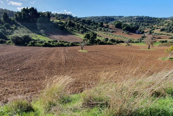 Land for sale in Chalkidiki