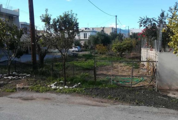 Land for sale in Fokida