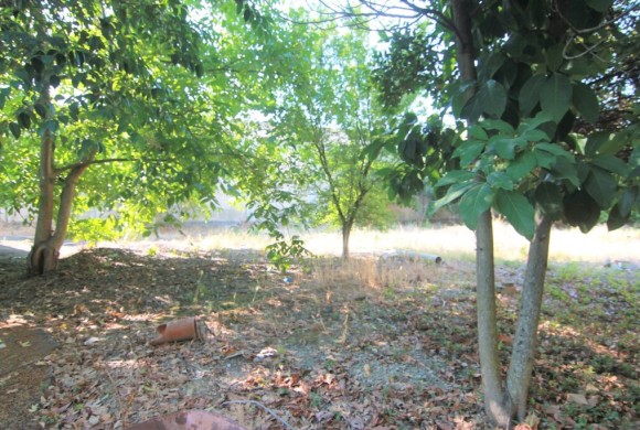 Land for sale in Corfu Prefecture