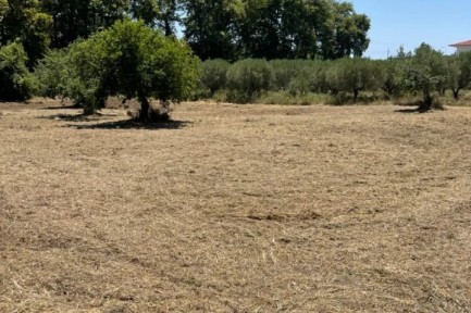 Land for sale in