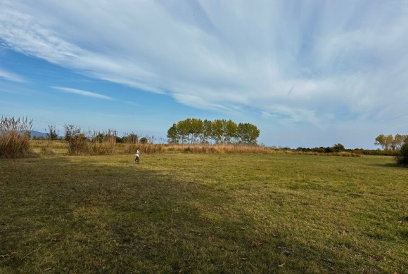 Land for sale in Chalkidiki