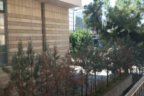 Commercial property for sale in Center