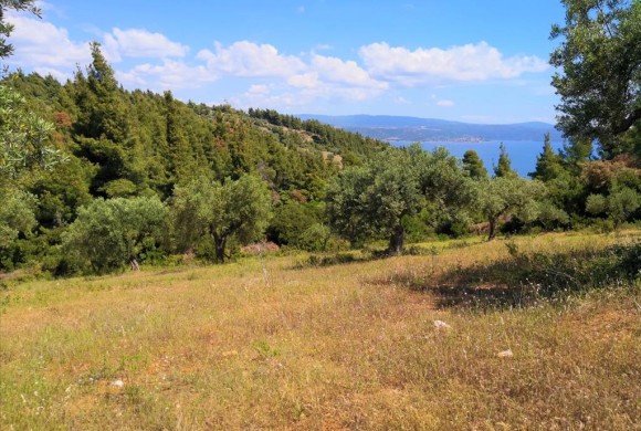 Land for sale in Chalkidiki