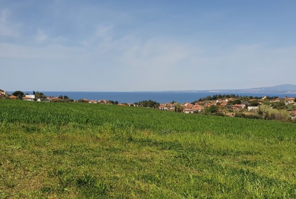 Land for sale in Chalkidiki