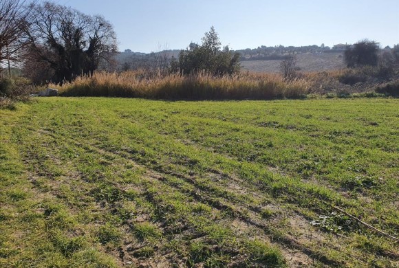 Land for sale in Chalkidiki