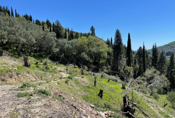 Land for sale in Corfu Prefecture