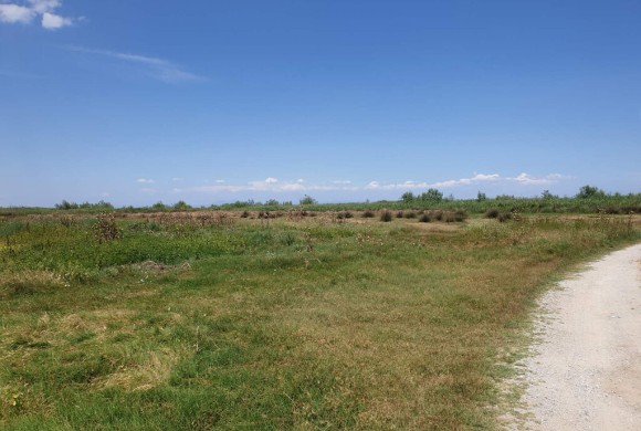 Land for sale in Pieria Prefecture