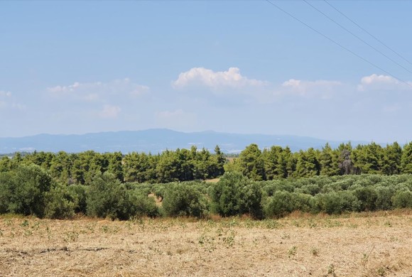 Land for sale in Chalkidiki