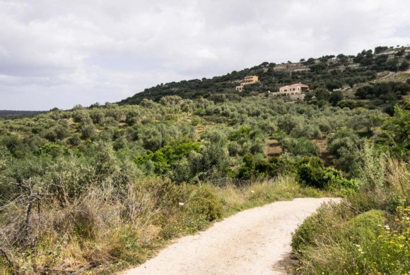 Land for sale in Rethymno Prefecture