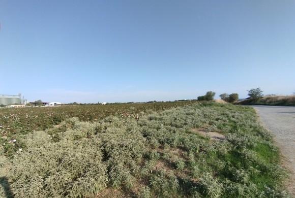 Land for sale in Suburbs