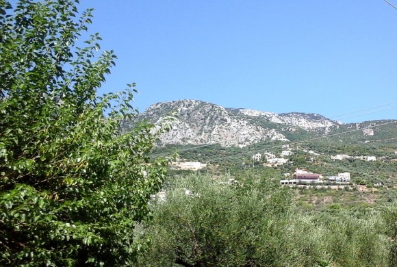 Land for sale in Messinia