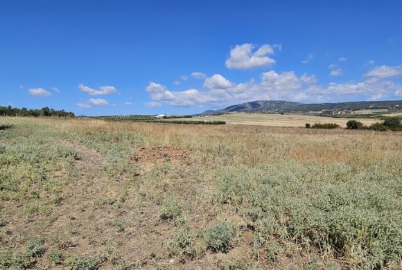 Land for sale in Chalkidiki
