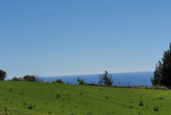 Land for sale in Chalkidiki