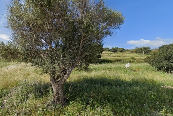 Land for sale in Zante