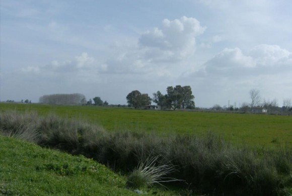 Land for sale in Ilia