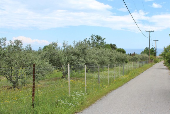 Land for sale in Pieria Prefecture