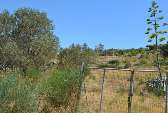 Land for sale in Rest of Attica