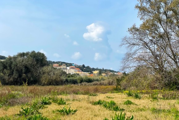 Land for sale in Corfu Prefecture