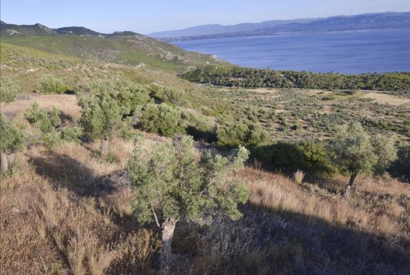 Land for sale in Corinthia
