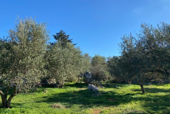 Land for sale in Chania Prefecture