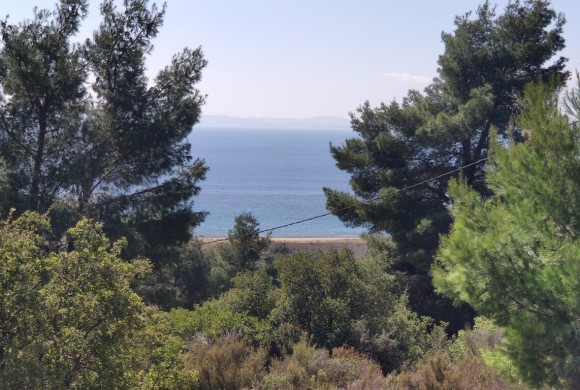 Land for sale in Chalkidiki