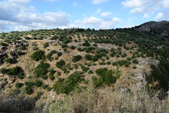 Land for sale in Rethymno Prefecture