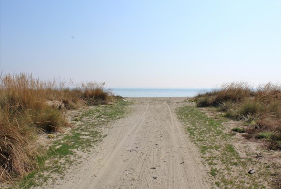 Land for sale in Pieria Prefecture