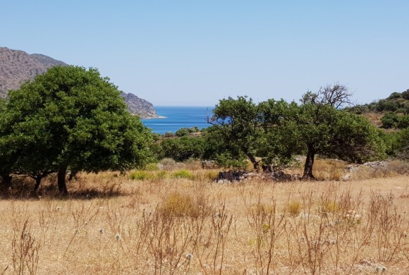 Land for sale in Lasithi Prefecture
