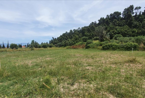 Land for sale in Chalkidiki