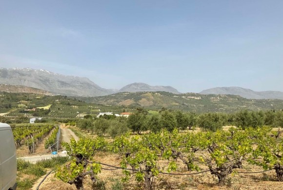 Land for sale in Heraklion Prefecture