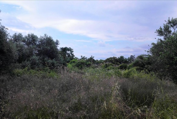 Land for sale in Chania Prefecture