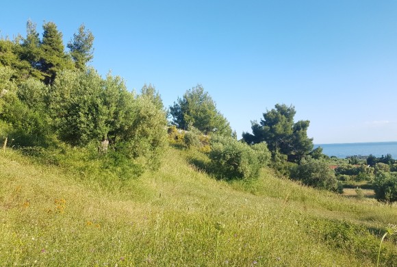 Land for sale in Chalkidiki
