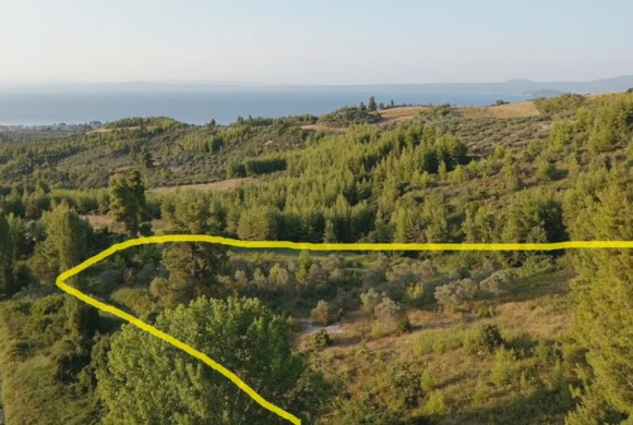Land for sale in Chalkidiki