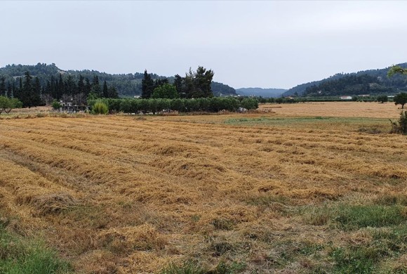 Land for sale in Chalkidiki