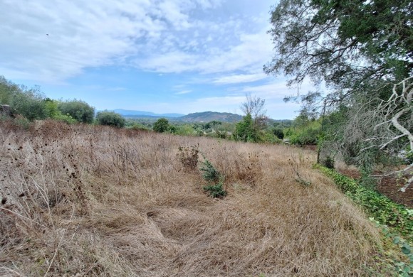 Land for sale in Corfu Prefecture