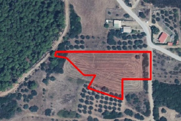 Land for sale in Chalkidiki