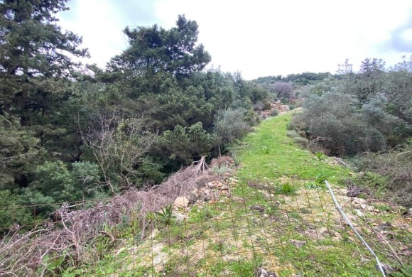 Land for sale in Chania Prefecture