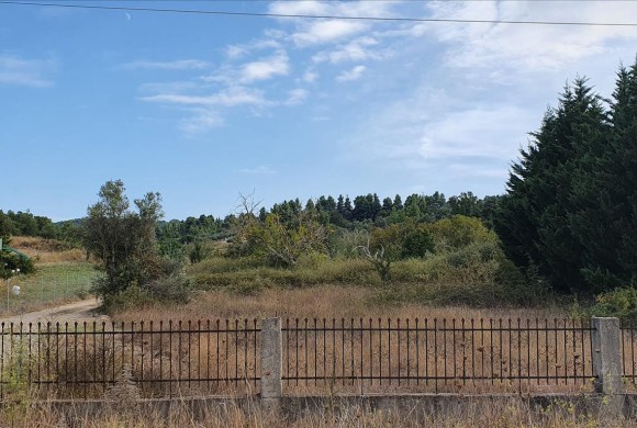 Land for sale in Chalkidiki