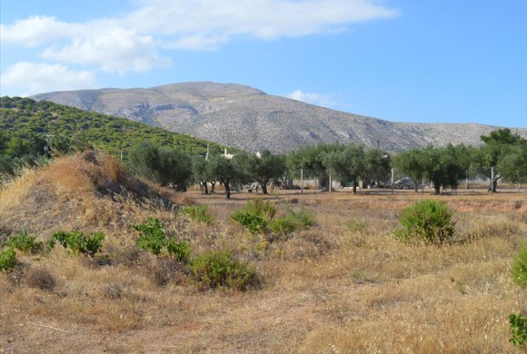 Land for sale in Rest of Attica