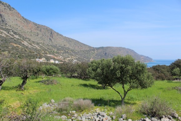 Land for sale in Lasithi Prefecture