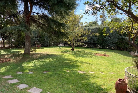 Land for sale in Center