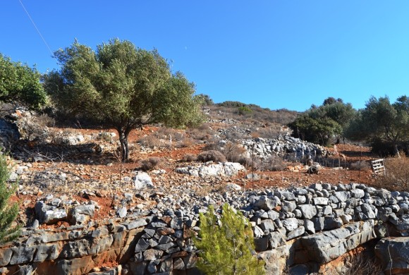 Land for sale in Lasithi Prefecture