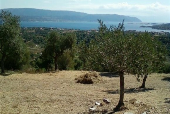 Land for sale in Chalkidiki