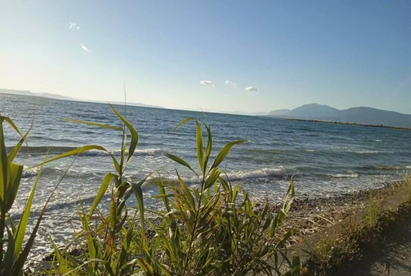 Land for sale in Evia