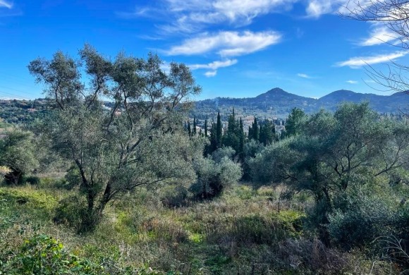 Land for sale in Corfu Prefecture