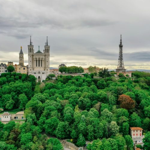 Lyon Lyon