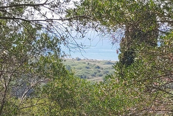 Land for sale in Corfu Prefecture