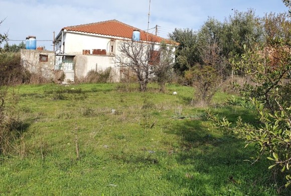 Land for sale in Chalkidiki