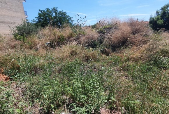 Land for sale in Chalkidiki