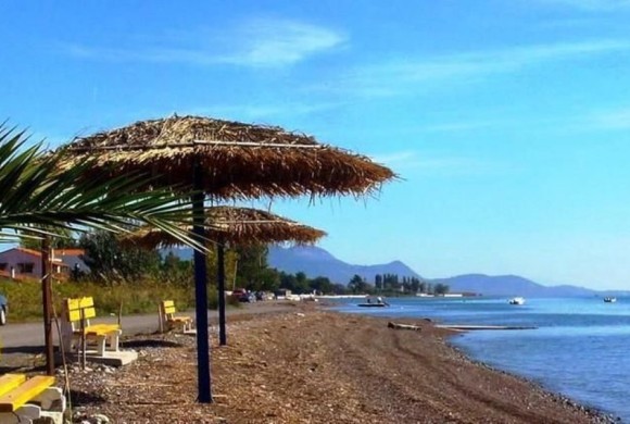 Land for sale in Phthiotis